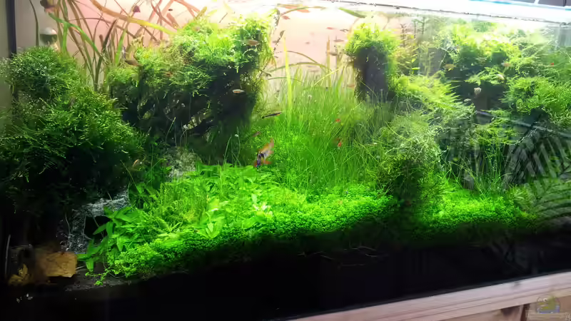 seitlich links von Martin Lange (9)