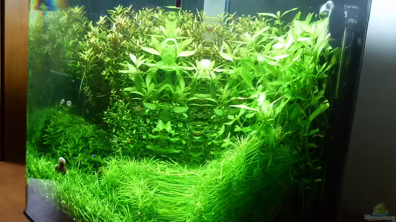 Seitlich von Helmut Kreutmayer (3)