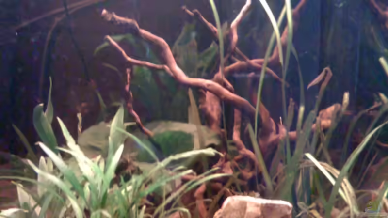 seitlich von Jürgen Müller (5)