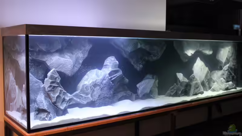 Seitlich von Lemans (4)