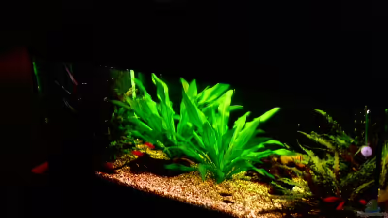 seitlich von oben von Tommy Weise (3)