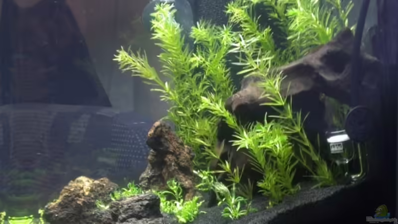 seitliche Ansicht 12.10.12 von M to the ilan (7)