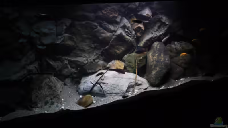 Seitliche Ansicht ins Becken von Florian Bandhauer (6)