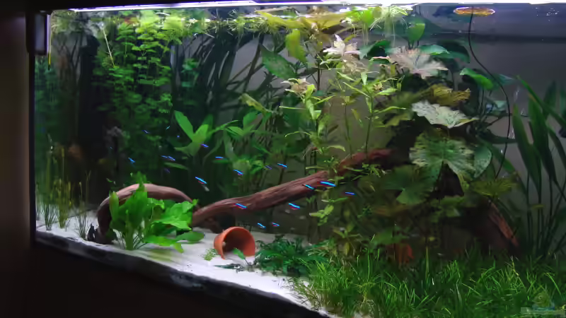 seitliche Ansicht von Stefan S. (5)