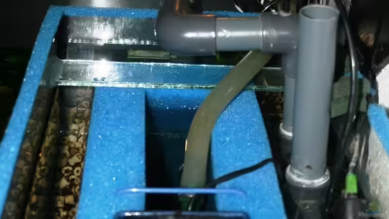 Seitliche Draufsicht zum Aquarium hin. von Grobi (24)