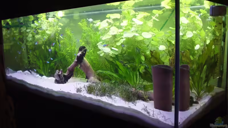 Seitliche Frontansicht von Marko Lütgens (4)