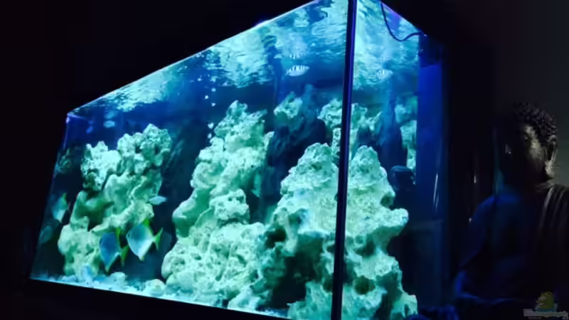 Seitliche Gesamtansicht von _JWoww_ (1)