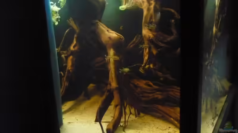 Seitliche Sicht von Der Dortmunder (5)