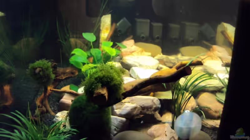 seitlicher Blick, in Richtung Strömungspumpen von Fabian Kühn (4)