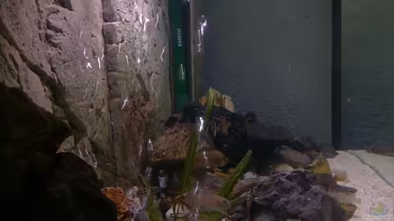 seitlicher Einblick von Capitan Hook (5)