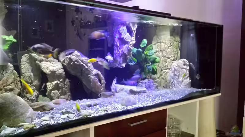 seitlicher Einblick von Noah (12)