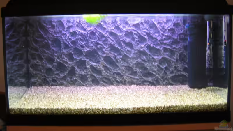 Selbst gebastelte Rückwand von Thomas D. (5)