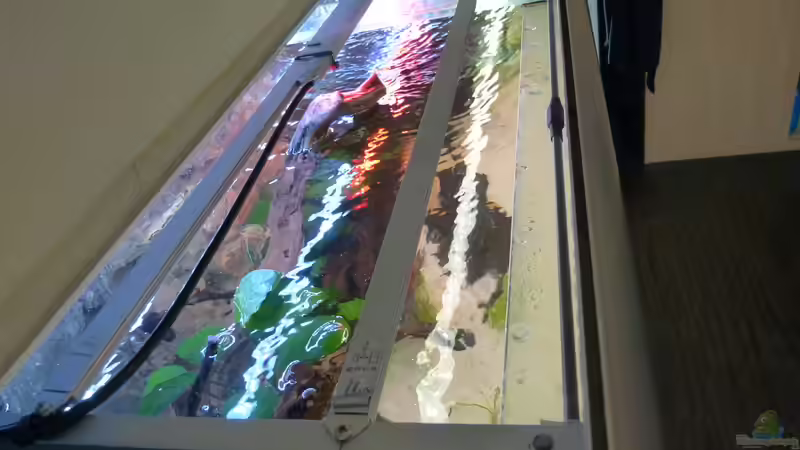 selbst gebaute Halterung für LED`s von bo3 (8)