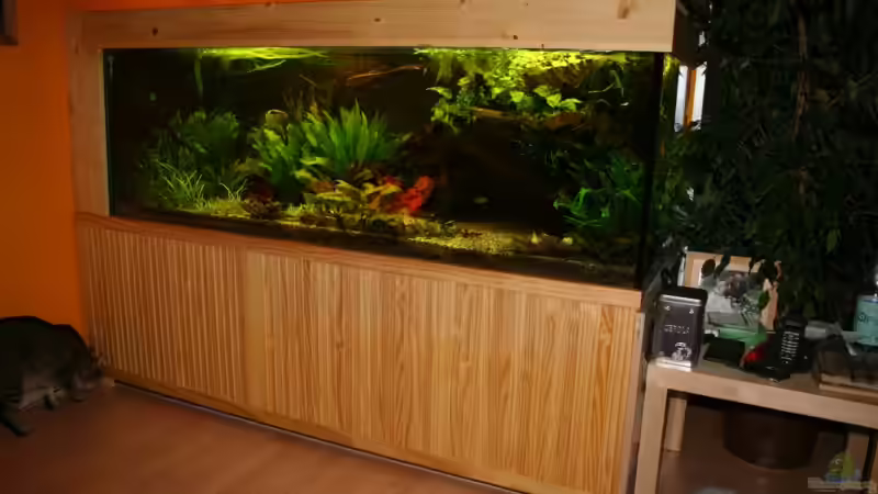 selbst gebaute Verkleidung aus Kiefernholz und Lamellentür von Minzi (2)