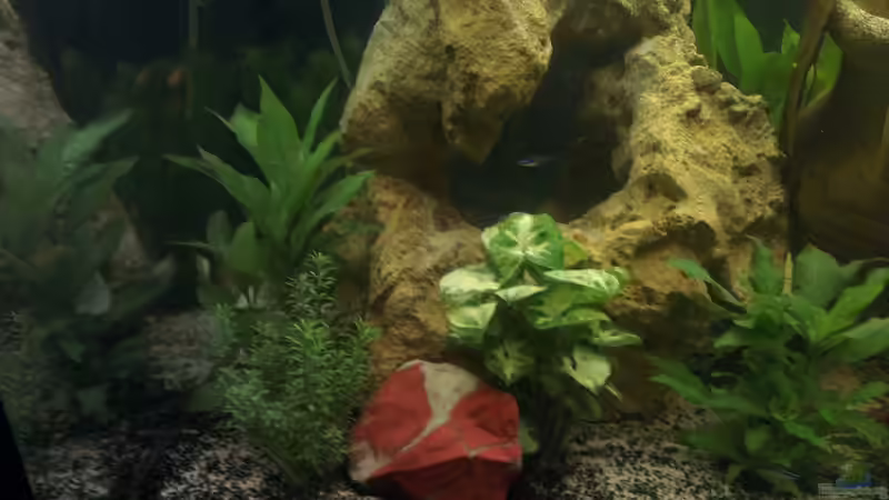 selbst gebohrter stein ausm wald von Franz Napf (5)