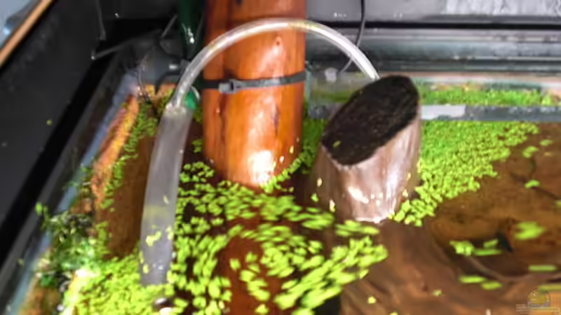 selbstbau Diffusor (Ausgang Eheim 2213) von Amazonas83 (8)