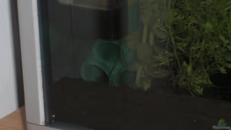 selbstgebastelte Röhrenhöhle 2 von Malawi TOM (25)