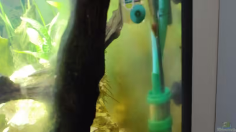 selbstgebastelter Oberflächenabsauger von Markus (6)