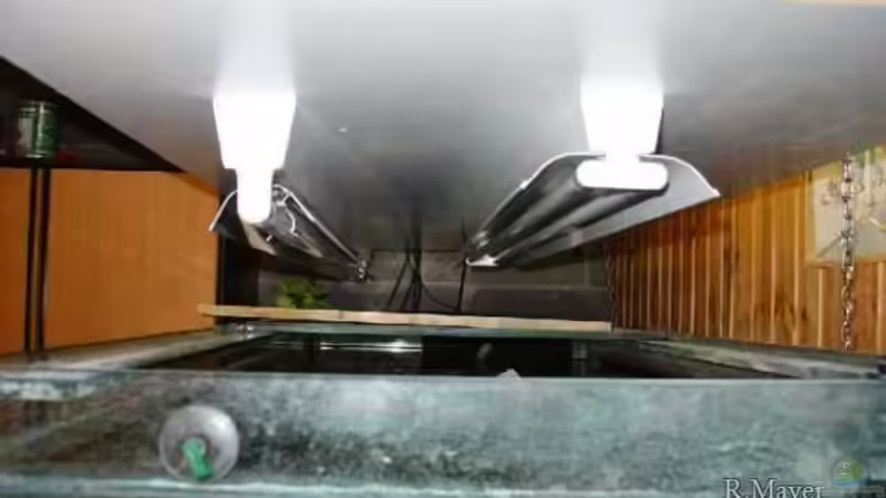 Selbstgebaute Abdeckung von Roger Mayer (7)