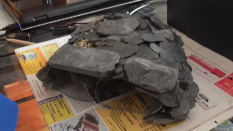 Selbstgebaute Buntbarschhöhle von Sarah Friedli (4)