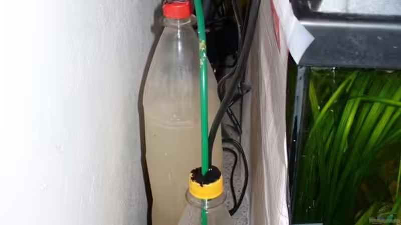 selbstgebaute Co2 Anlage mit Waschflasche  von Patrick Stobbe (4)