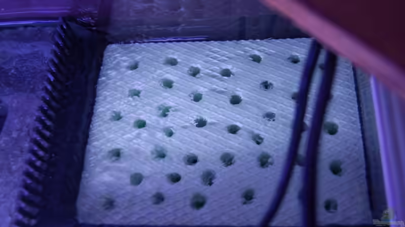 Selbstgebaute Rieselplatte aus Styrodur - nicht hübsch, aber zweckmäßig von Claus Becker (12)