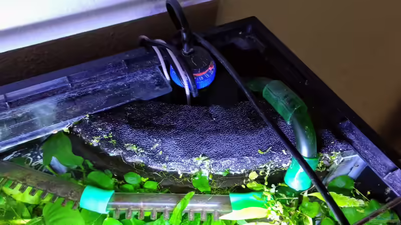 Selbstgebauter Hamburger Mattenfilter (HMF). - Bild vom 22.08.2018 von Mike Steidl (17)