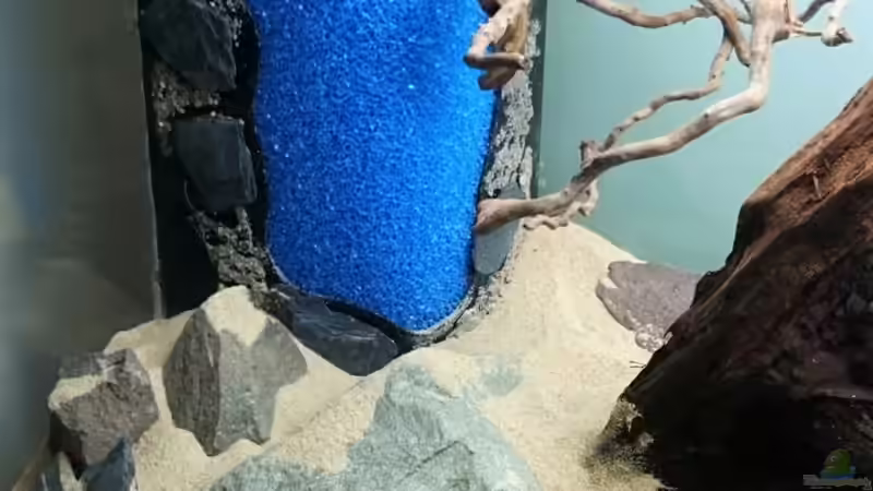 Selbstgebauter HMF mit Verkleidung. Inspiration und Infos gabs von Betta Chris. Wurzel, von Aquaristik-Padawan (31)