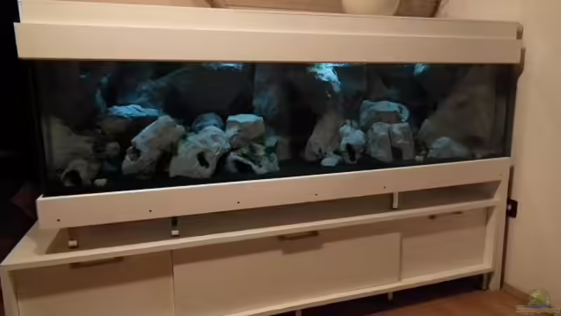 Selbstgebauter Schrank und Becken nach Inbetriebnahme von rayskin (4)