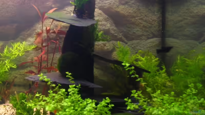 selbstgebauter ´Welsturm´ von Monika Maier (15)