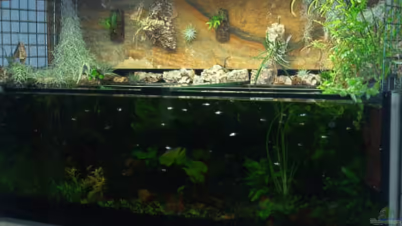 selbstgemauerter Unterschrank  von Mirko Ritter (4)