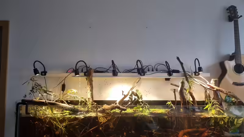 Selfmade Leiste für die Spots Schwarzwasser und Welse = dreckige Wand von Rainooo (42)