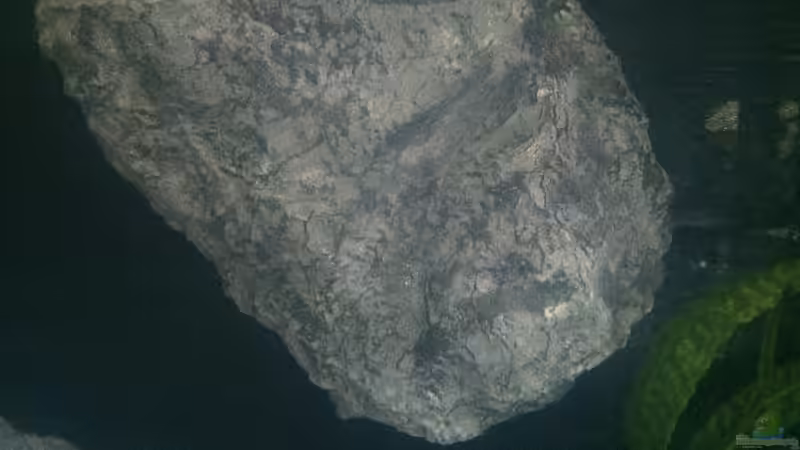 Selfmade Module  von Marcel Ille (5)