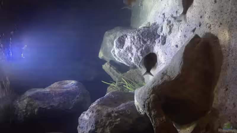 Selfmade Module  von Marcel Ille (6)