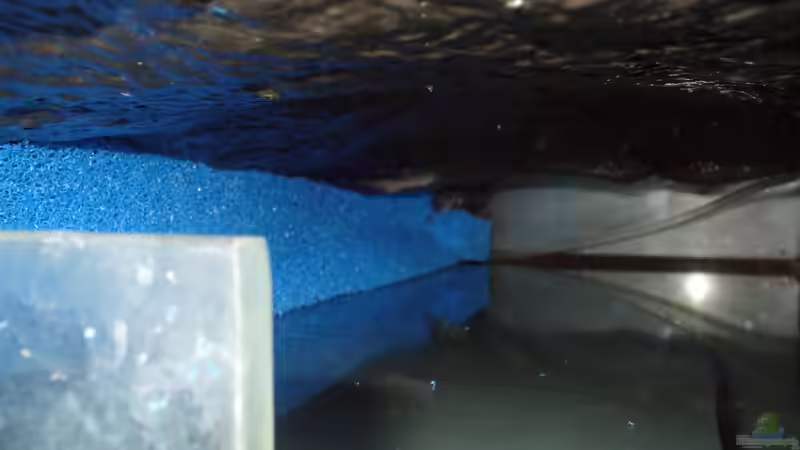 Senkrechte Matte Filtereinlauf von Randsteinwetzer (11)