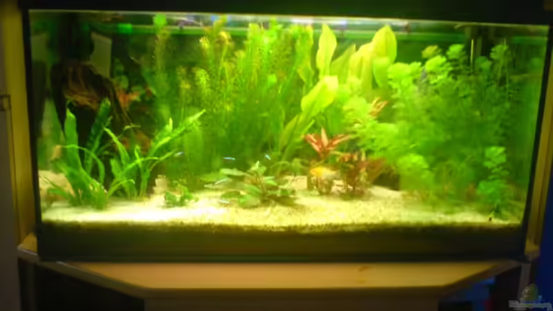 sept. 07 von Roland Höck (2)