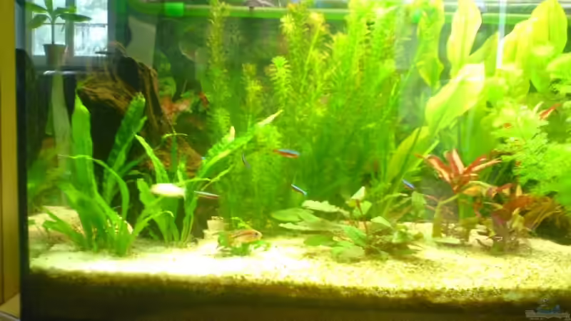 sept. 07 von Roland Höck (3)