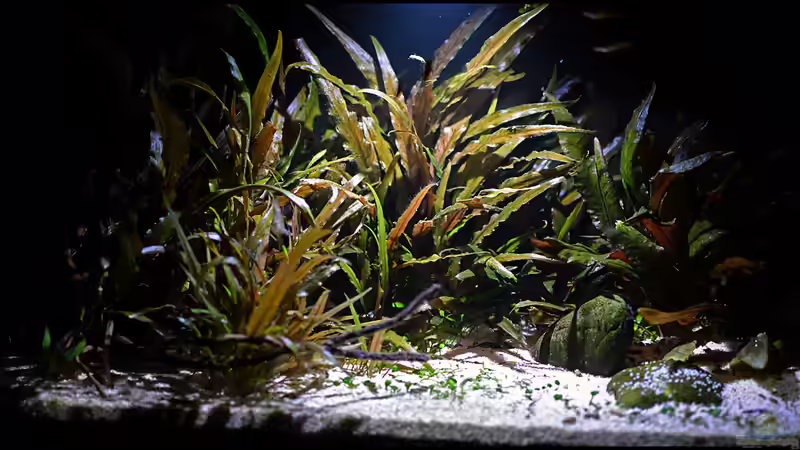 Sept. 2013 von Tuduhi (4)