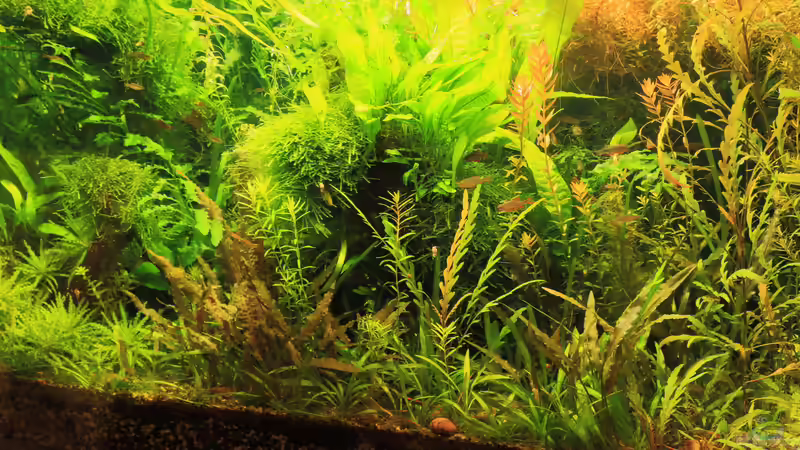 Sept. 2014 von Peter Niehuber (5)