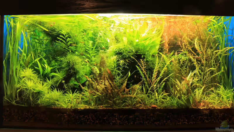 Sept. 2014 von Peter Niehuber (6)