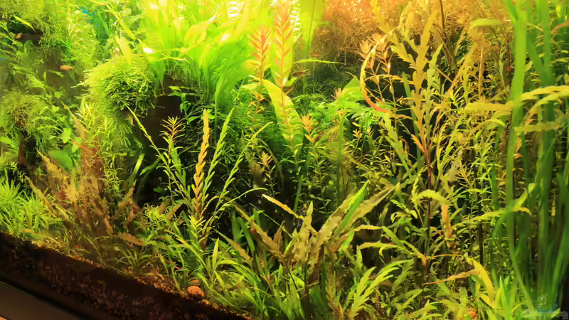 Sept. 2014 von Peter Niehuber (9)