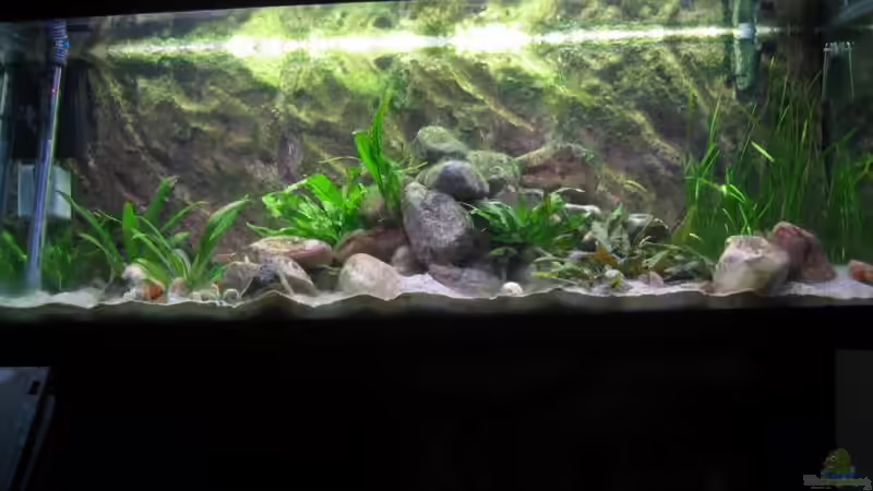 sept-05 von Giuseppe Sartorio (2)