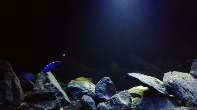 September  von der Steirer (1)