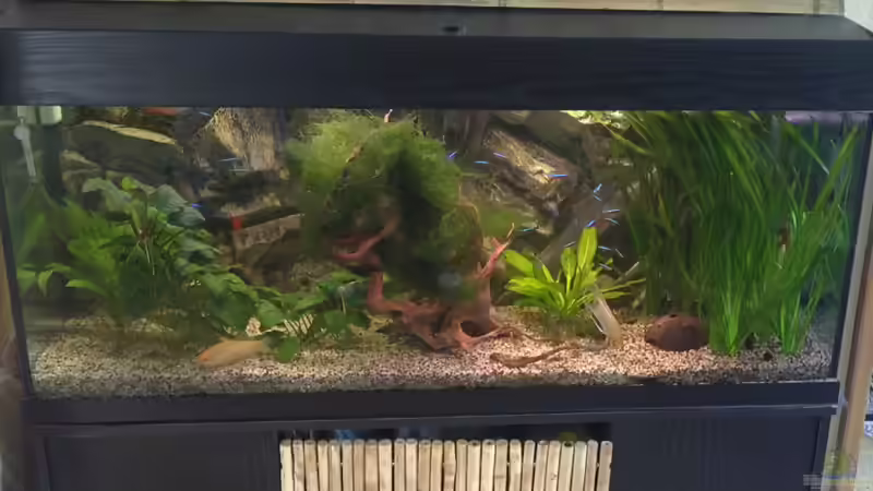 September 10 von Marco Weis (15)