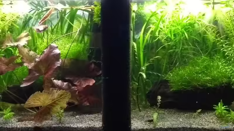 September 18 von Stephy (8)