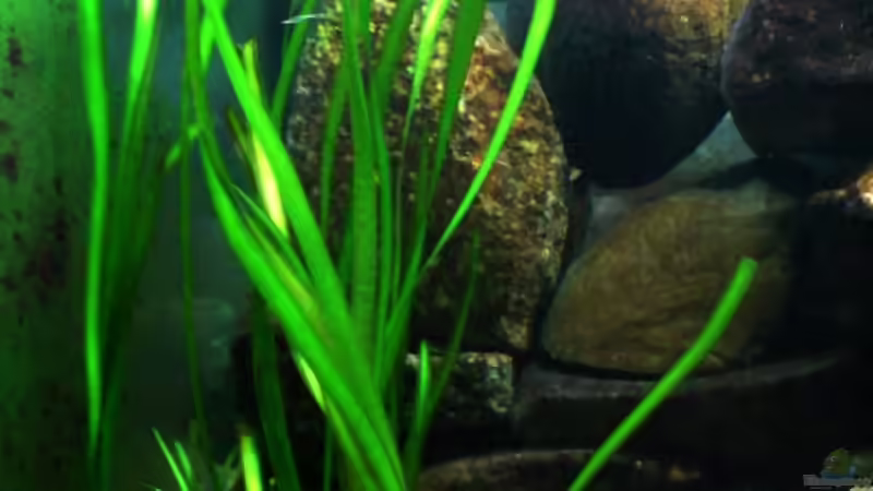 September 2008 von timme (18)