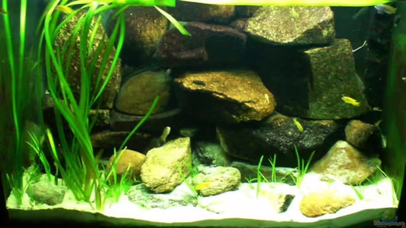 September 2008 von timme (7)