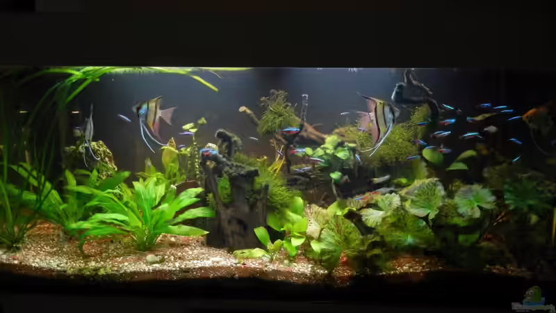 September 2011 von Life (4)