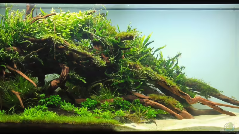 September 2012 von disco-d (3)