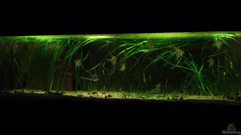 September 2012 von PH Neutral (5)